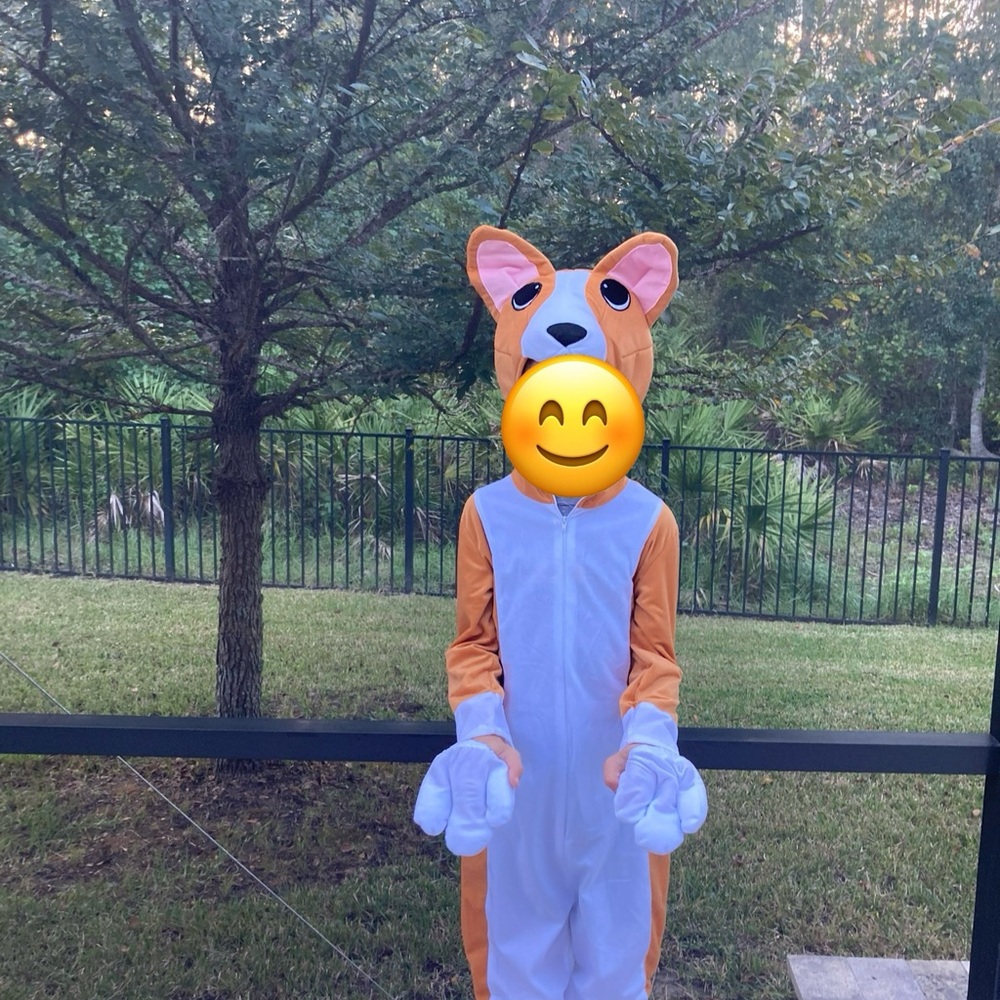 Charming Corgi Kids Costume - Orange and White